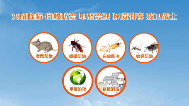 别墅有没有必要做白蚁预防？