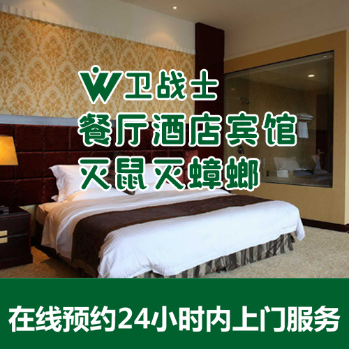 灭鼠服务